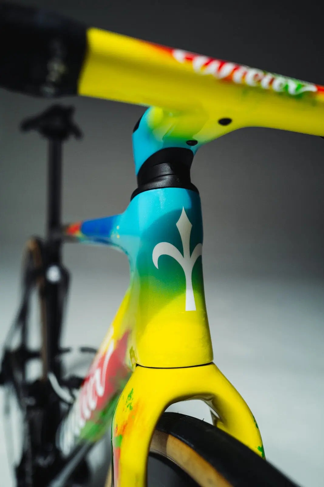 2024 Wilier Filante SLR Disc Frameset - Cavendish TDF 24 Final Edition
