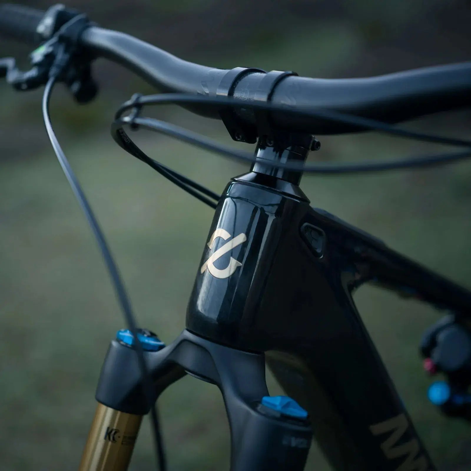 2026 Amflow PL Carbon Pro E-MTB