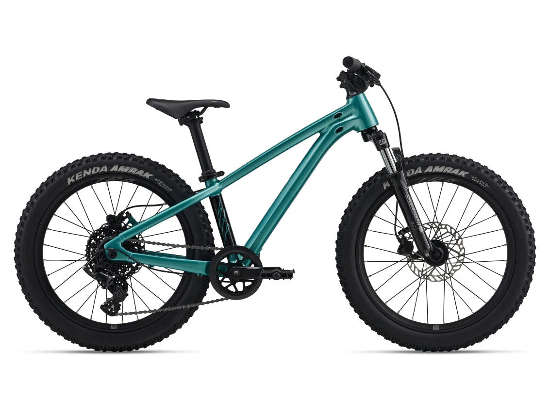 2026 Giant STP 20 FS Kids Mountain Bike
